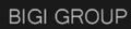 Bigi Group logo
