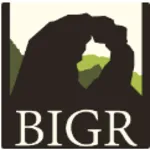 BIGR Ventures logo