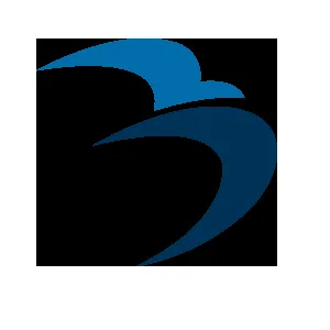 Big Sky Partners logo