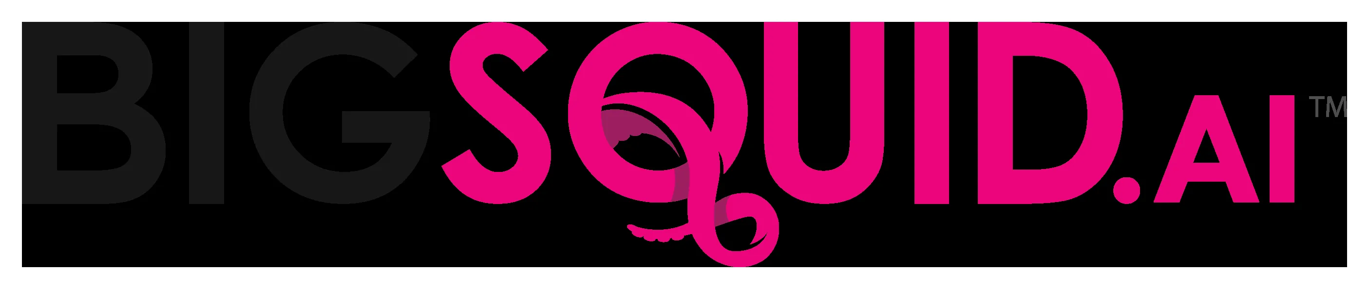 Big Squid logo