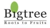 Big Tree Entertainment logo