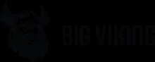 Big Viking Games