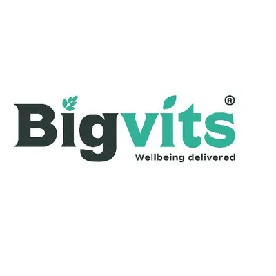 Bigvits logo