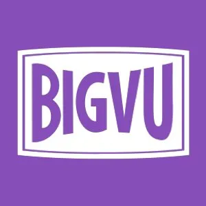 Bigvu logo