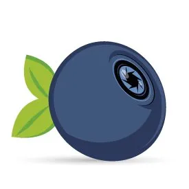 Bilberry logo