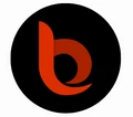 BillDrive