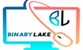 Binary Lake