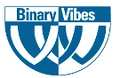 Binary Vibes logo