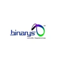 Binarys