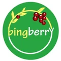BingBerry