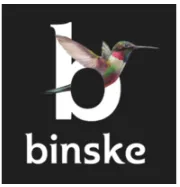 Binske logo