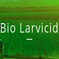 bio larvicide