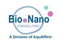 Bio Nano Consulting logo