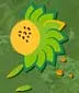 Biodiesel Technologies India