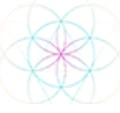 Biohealthmatics logo