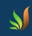 BioMass Solution