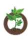 Biotasoil Foundation