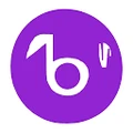 Birbal AI