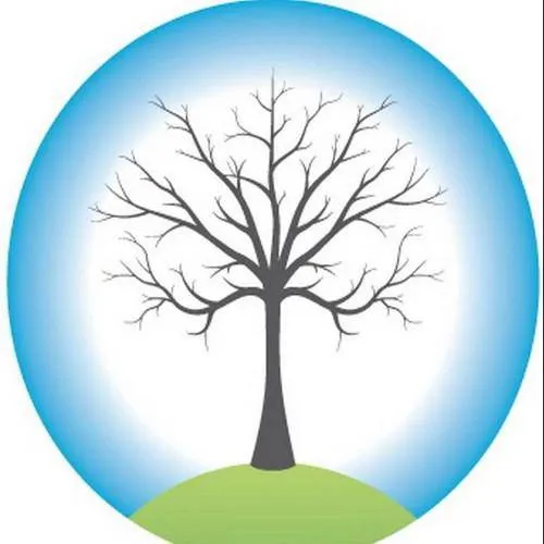 Birchills Telecom logo
