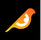Birdeye.so logo