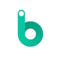 Birdie King logo