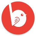 BirdieEyes logo