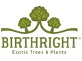 Birthright logo
