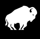 Bison Capital logo