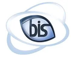 BIS/i3 Public Sector logo