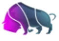 BisonTrade logo