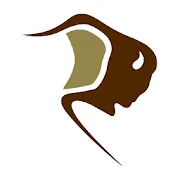 Bison Transport logo