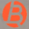 BisRing logo