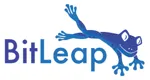 BitLeap logo