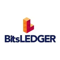 Bitsledger India