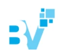 Bitvivid Solutions