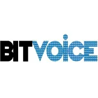 BitVoice