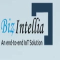 Biz4intellia logo