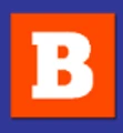 Bizaad