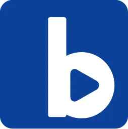 Bizplay