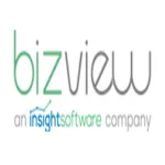 Bizview Systems logo