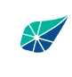 BKV logo