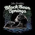 Black Bear Springs logo