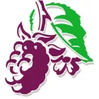 Blackberry Clinic logo