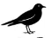Blackbird Foods logo