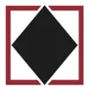 Black Diamond Group logo