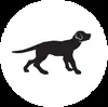 Black Dog LED logo