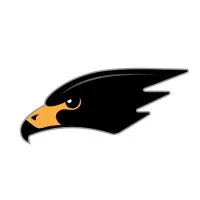 Blackhawk Aerospace logo