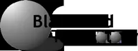 Blacksand Technology logo