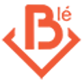 Ble Media Solutions