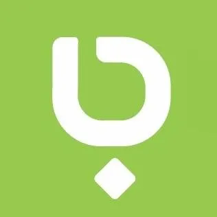 Bleems logo